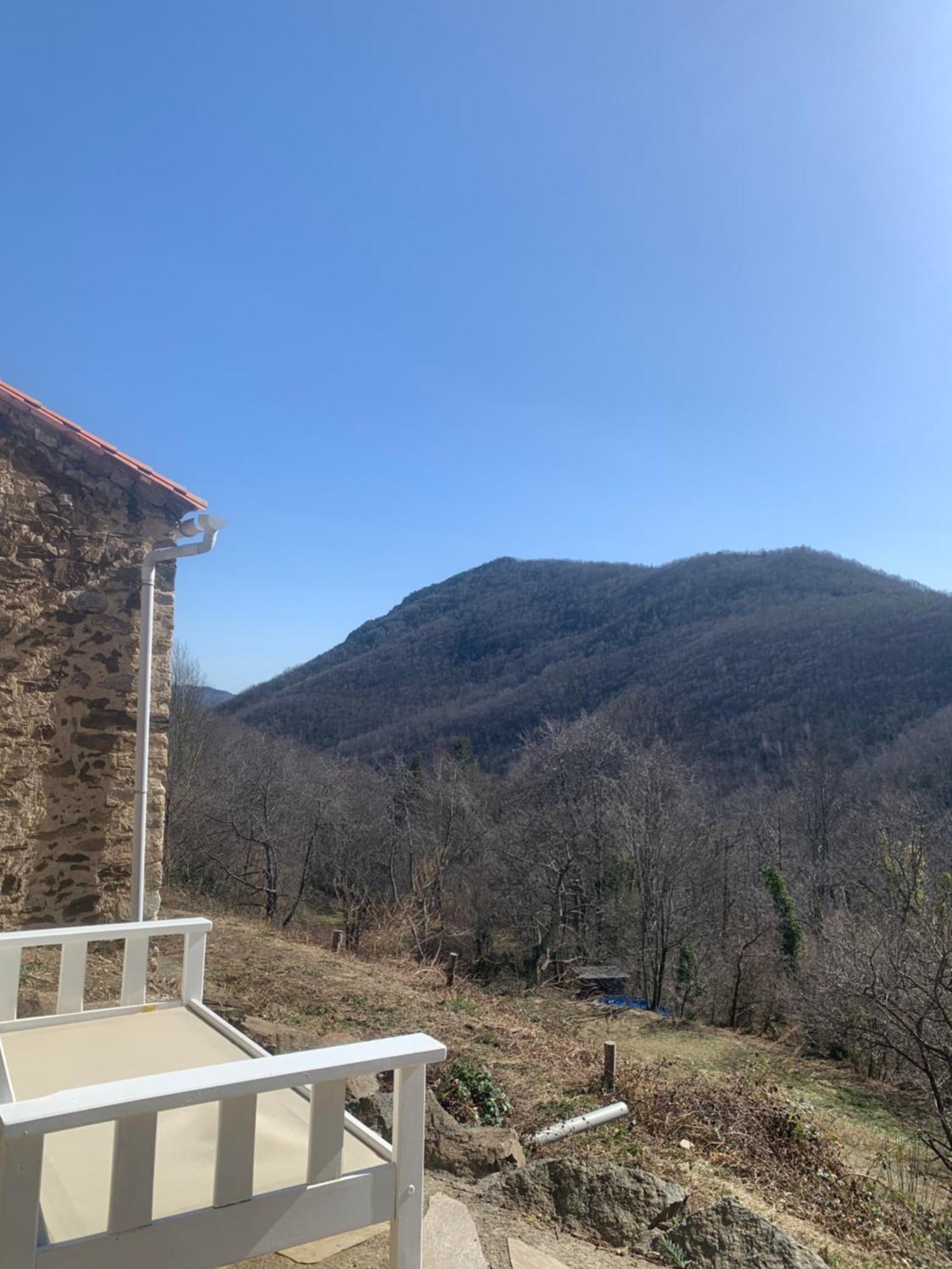 Apartment Mas Caraus *